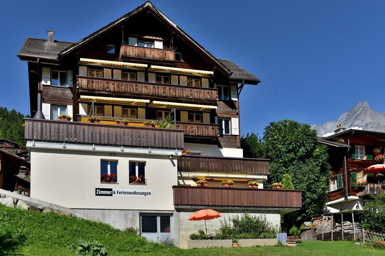 Studio Eigerblick Grindelwald Dış mekan fotoğraf